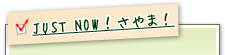 JUST NOW!さやま!