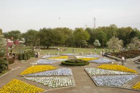 都市緑化植物園の画像