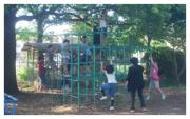 イメージ写真　ジャングルジムで遊ぶ子どもたち