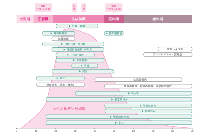 女性はライフステージにより課題が違い、女性ホルモンの影響を大きく受けることがわかります。下は女性ホルモン（エストロゲン）の分泌量を表しています。思春期はやせや月経困難症、月経不順・無月経、月経前症候群(PMS)、性成熟期は子妊娠・出産、性感染症、子宮内膜症、子宮筋腫、貧血、不妊、摂食障害、更年期は生活習慣病や更年期障害、乳がん、老年期は骨粗しょう症、アルツハイマー・認知症など課題が異なります。