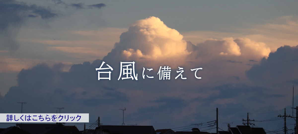 大雨への備えへのリンク