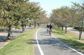 稲荷山公園見晴台の画像