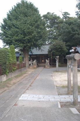 柏原白鬚神社の写真