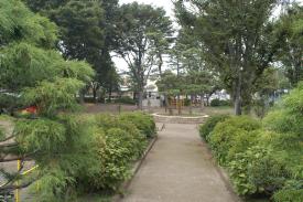 中原公園の写真 