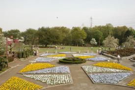 都市緑化植物園の画像
