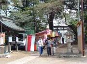 笹井白鬚神社の春祭