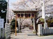 広瀬神社の春季大祭