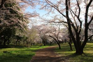 智光山公園の画像