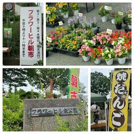 「会場は100人以上の盛況。フラワーヒル朝市」記事へのリンク