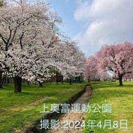 「上奥富運動公園 花見とピクニックとラジコンと」記事へのリンク