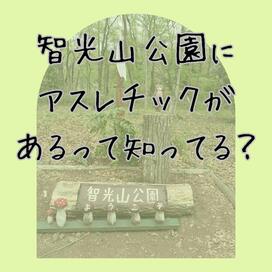 「遊び回れるアスレチック！わんぱくの森」記事へのリンク