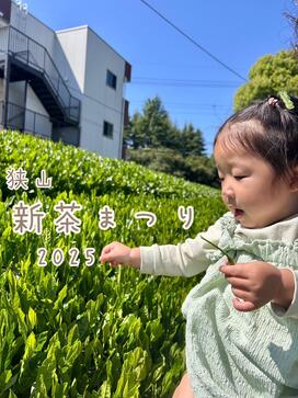 「毎年恒例イベント！新茶まつりに行ってきました」