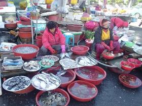 写真　新鮮な魚介類を扱う市場