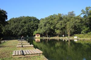 智光山公園前山の池