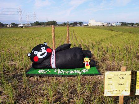 かかし・くまもん（あったかホーム狭山）画像