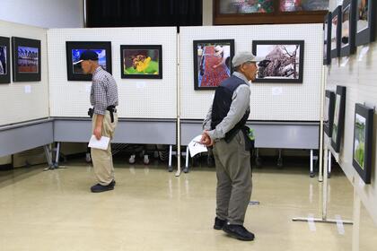 展示写真をご覧になる来場者の画像