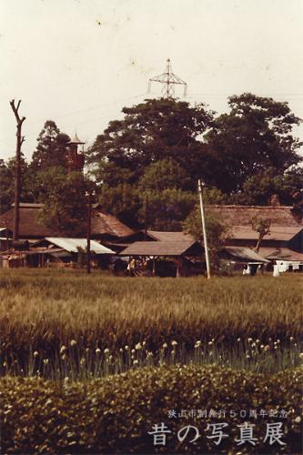 昭和40年 堀兼地区のかやぶき屋根の家屋